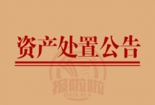 债权资产处置公告_中国登报中心